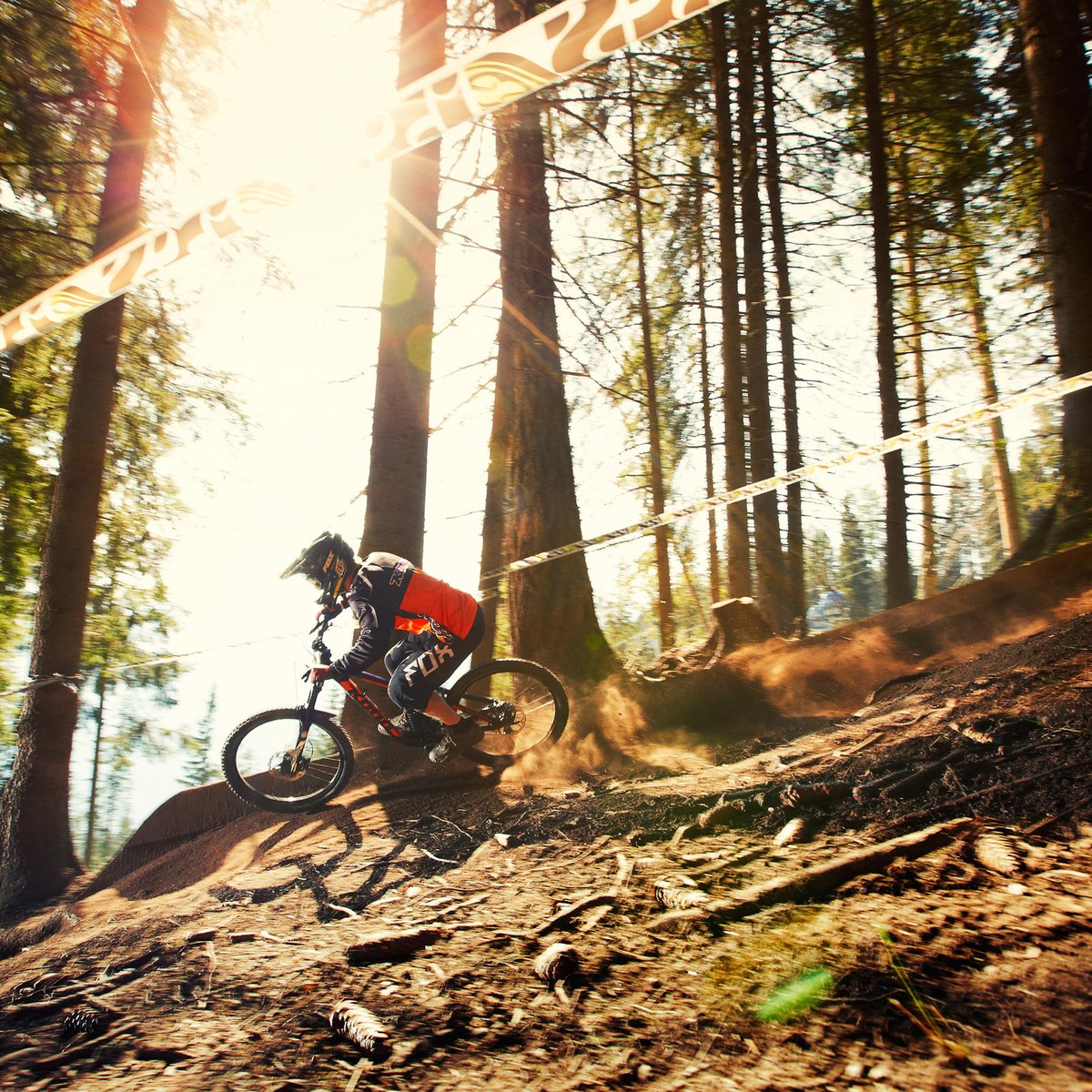 mtb-festival-sfl-keyvisual-c-christianwaldegger-com.jpg